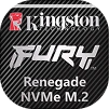 NVMe SSD